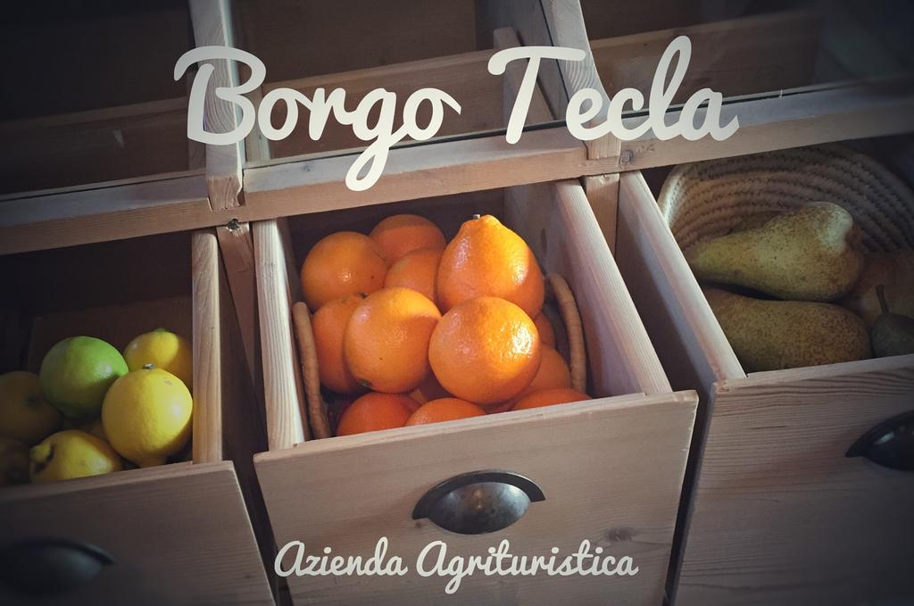 Agriturismo Borgo Tecla Rosà Εξωτερικό φωτογραφία